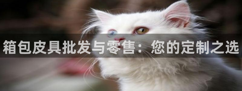 必一体育sportB体育