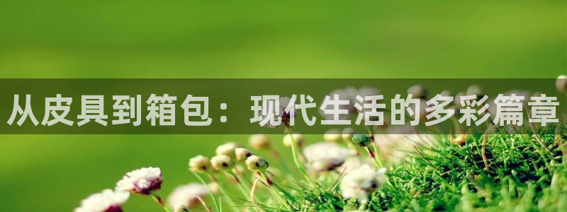 必一体育官网app