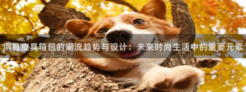 必一体育游戏特色