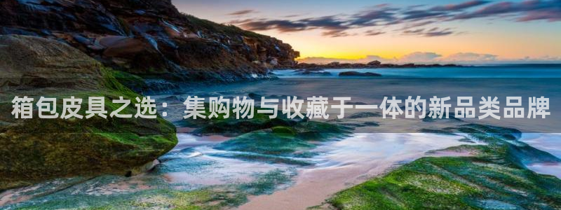 必一体育在哪下