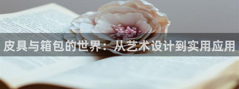 必一体育bsport下载