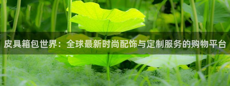 必一体育怎么下载