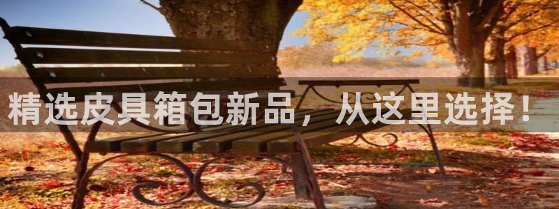 b体育必一运动网页版在线登录入口