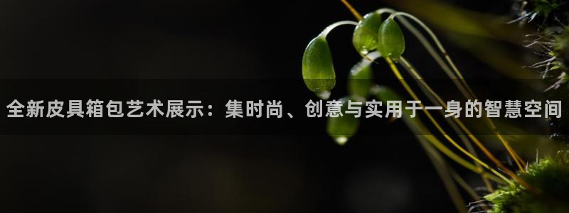 必一体育bsport2023-04-21