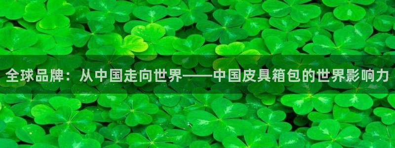 b体育必一运动网页版在线登录入口