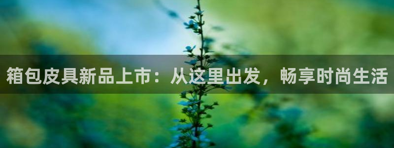 必一体育登录入口