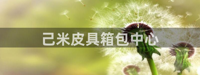 必一体育合法吗