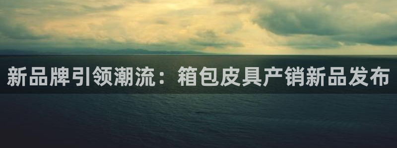 必一体育在线玩