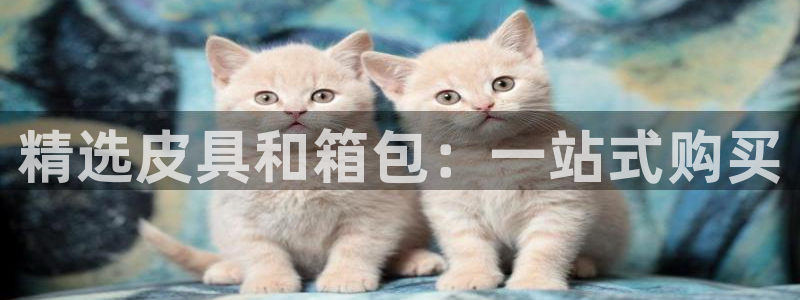 必一体育在线入口