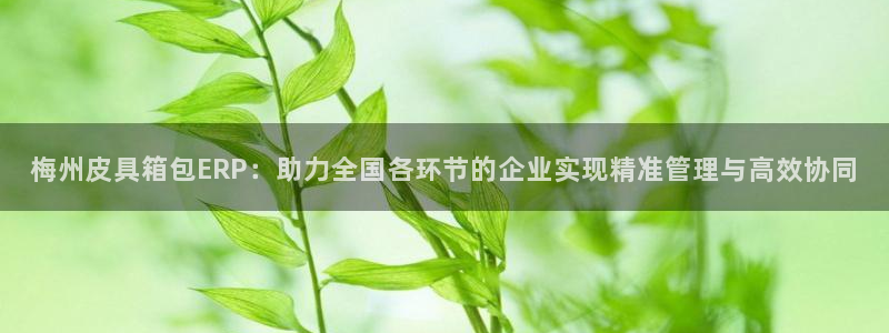 必一体育app下载最新版本