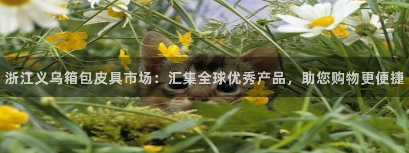 必一体育网页登陆