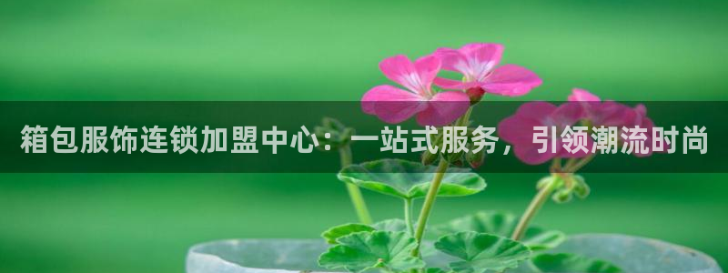 必一体育app下载最新版本