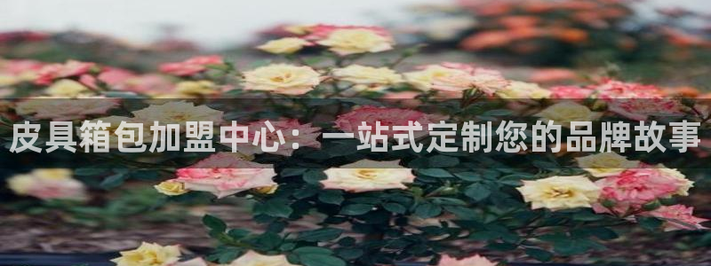 必一体育全站在线登录入口