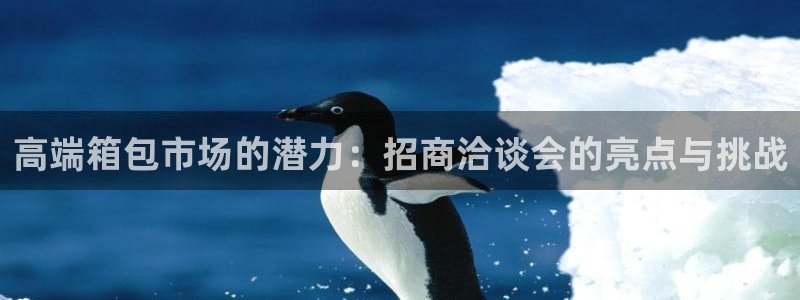 必一体育网页版登录