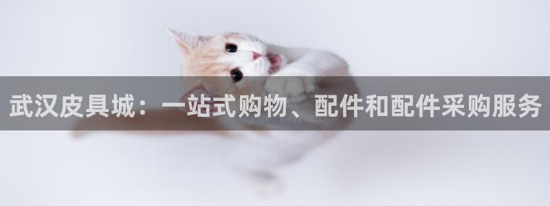 必一运动 b 体育素描版