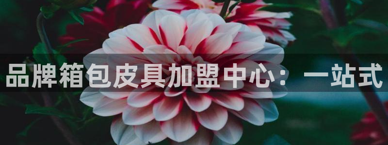 必一体育黑平台