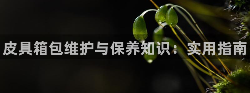 必一体育APP下载安装