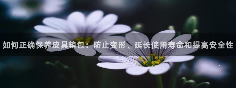 必一体育下载app