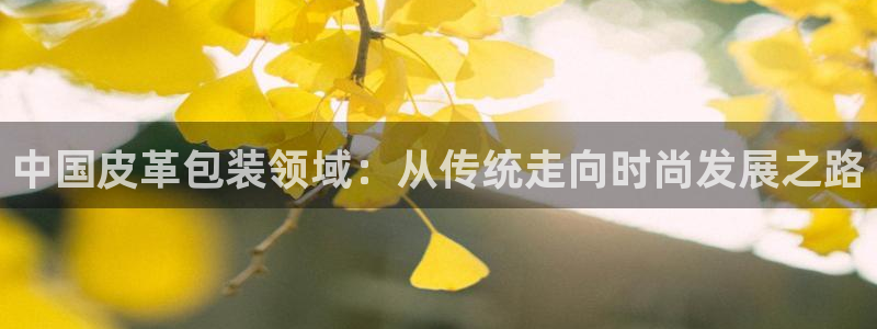 必一体育官方入口