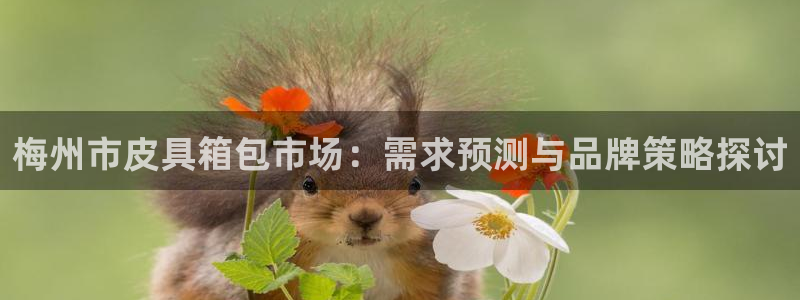 必一体育app官方网站