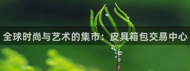 必一体育网页