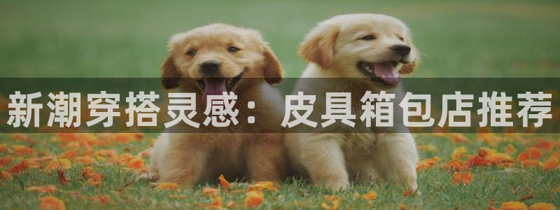 必一体育官方网站入口