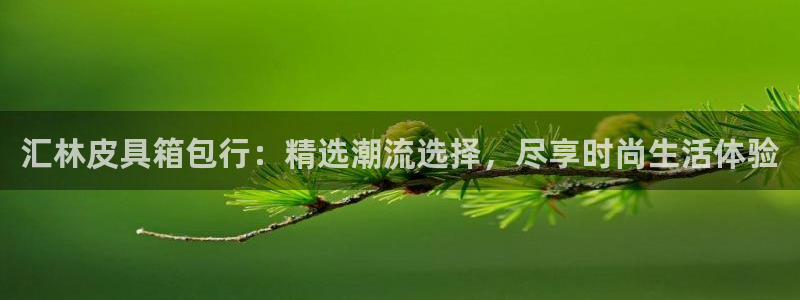 必一体育网页登录版官网