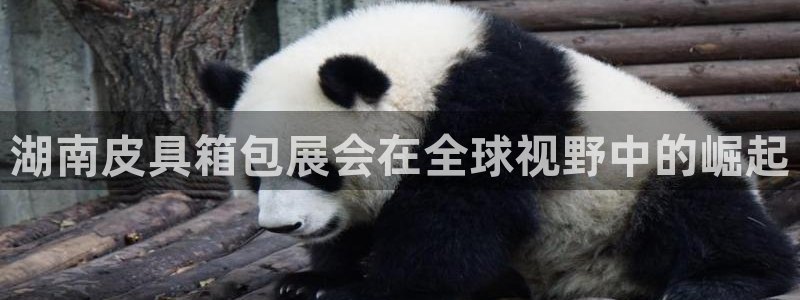 必一体育没了