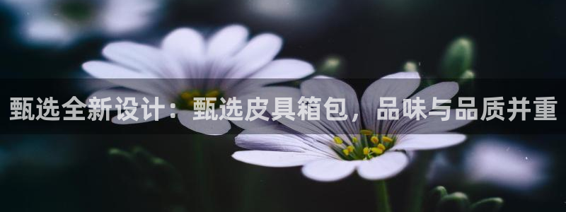 必一体育运动下载