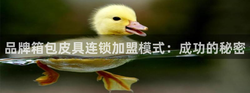 必一体育app下载最新版本苹果