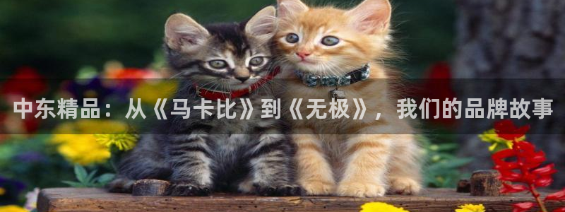 必一体育网页