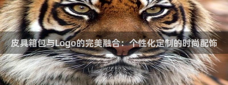 必一体育在线登录