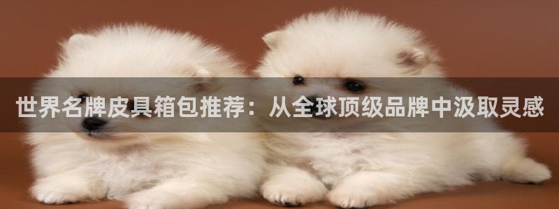 b体育必一下载
