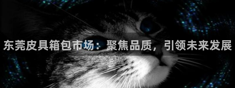 必一体育黑钱