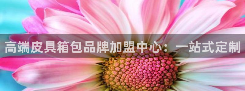 b体育必一下载