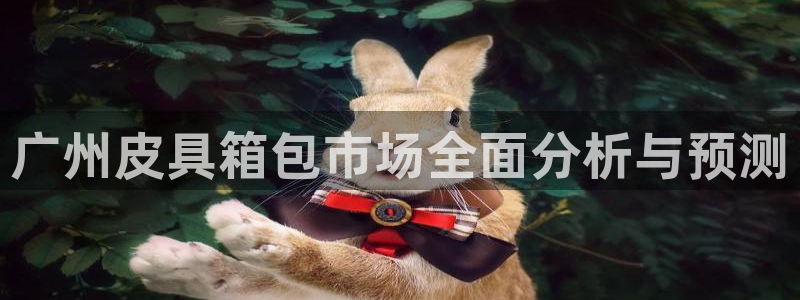 b体育必一运动网页版在线登录入口