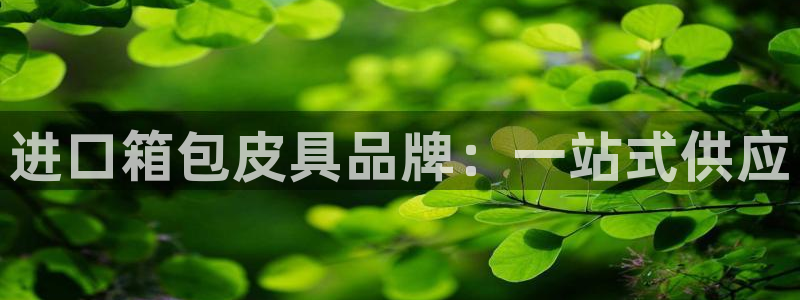 必一体育在线官网