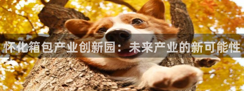 必一运动·(B-Sports)土豆