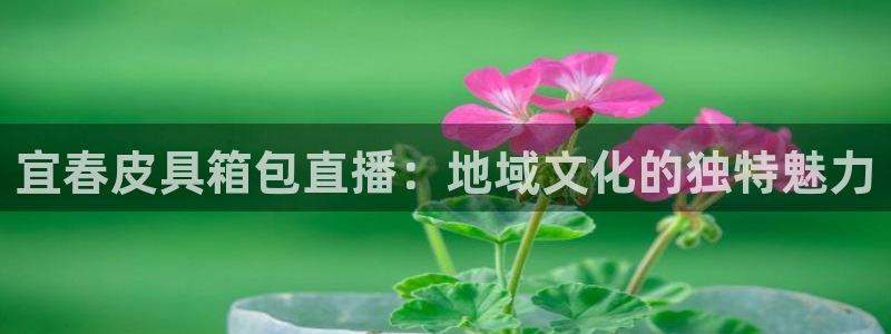 必一体育在线登陆