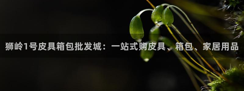 必一运动·(B-sports)