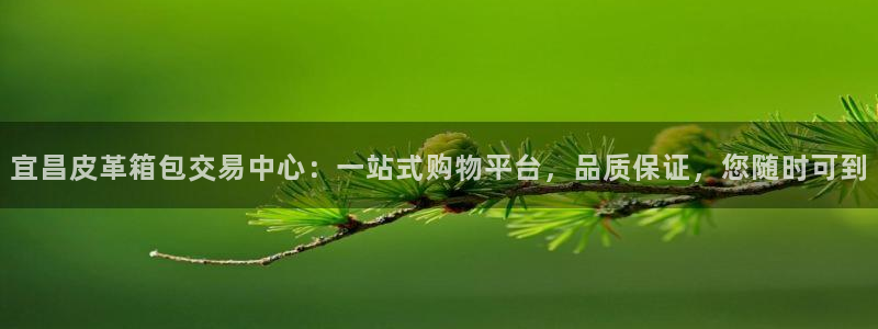 必一运动 b 体育素描版