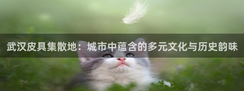 必一体育APP下载安装