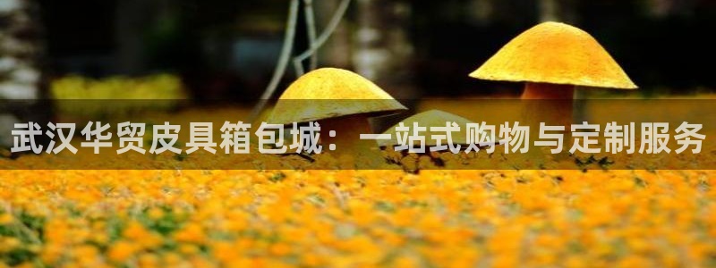 Bsport体育app必一