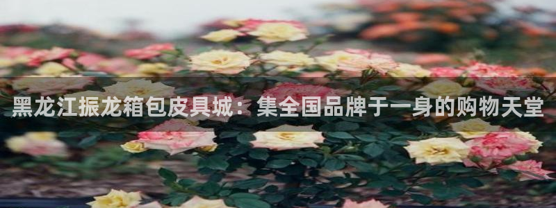 必一体育app下载安装