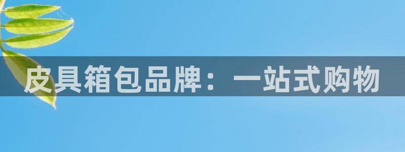 必一体育app下载装机吧
