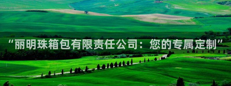 必一体育下载意思