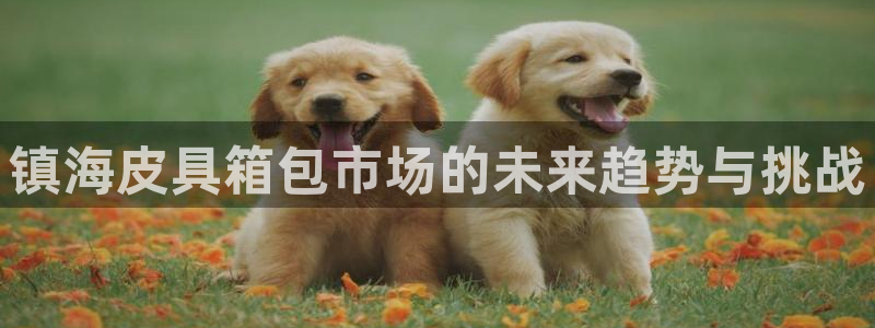 b体育必一运动网页版在线登录入口