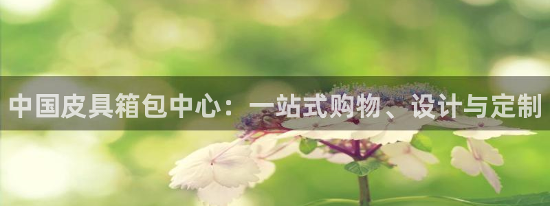 必一体育下载一样吗