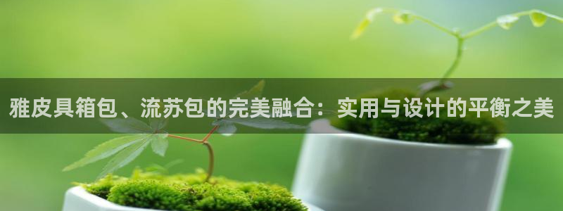 必一体育登录APP下载