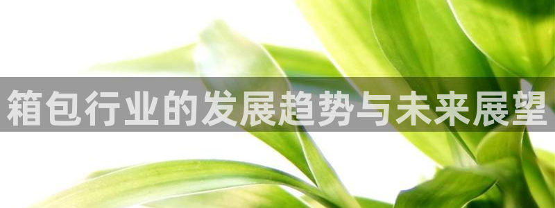 必一体育网页登陆